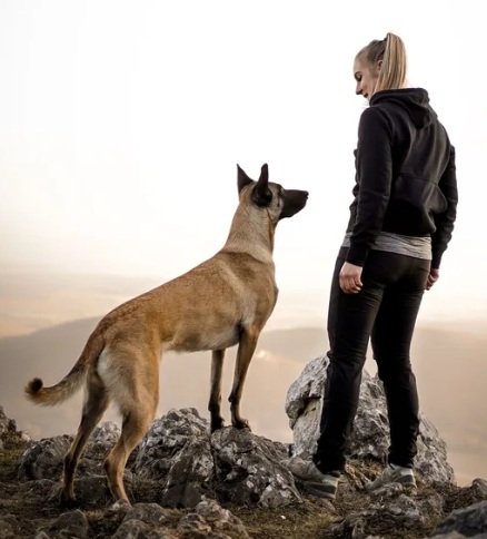 Trainingswoche Hundefitness & Cavaletti mit Stefanie Suda - 2027